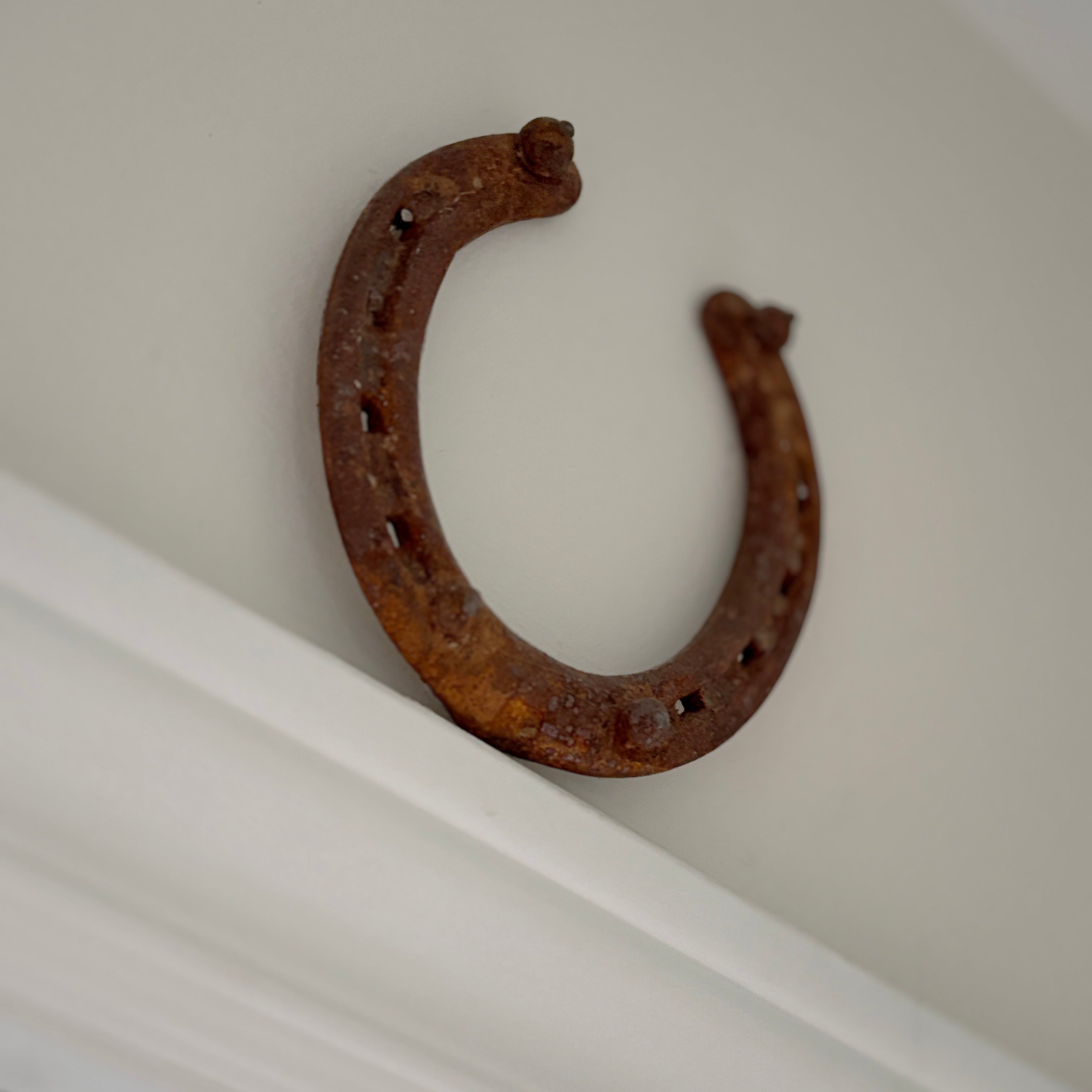The Story Behind the Horseshoe Logo
