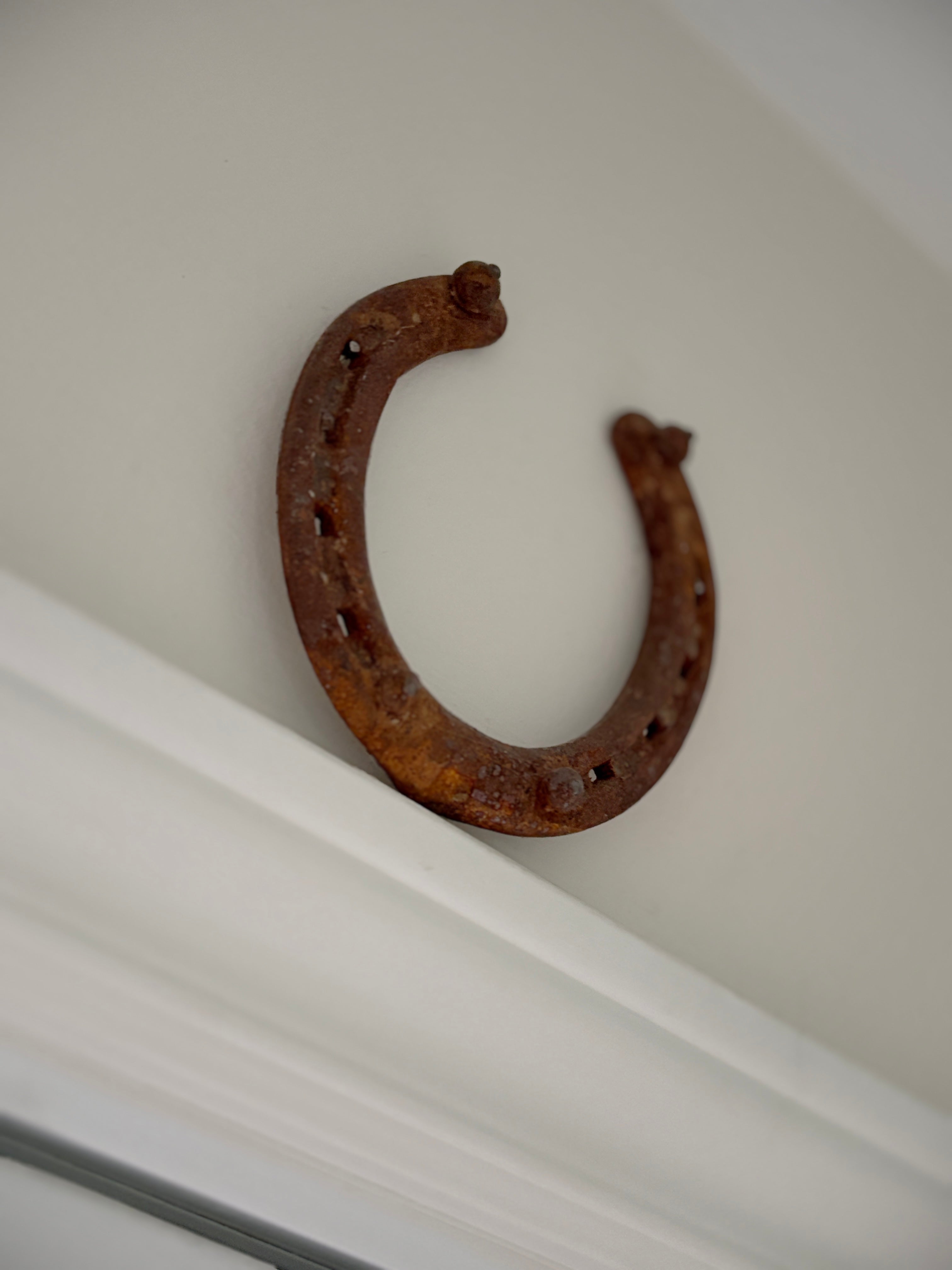 The Story Behind the Horseshoe Logo